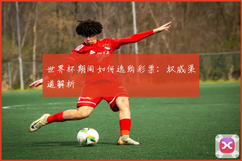 世界杯期间如何选购彩票:权威渠道解析