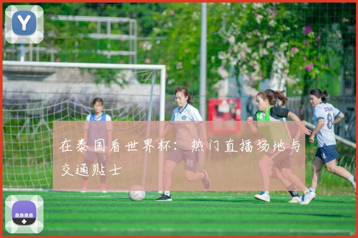 在泰国看世界杯：热门直播场地与交通贴士