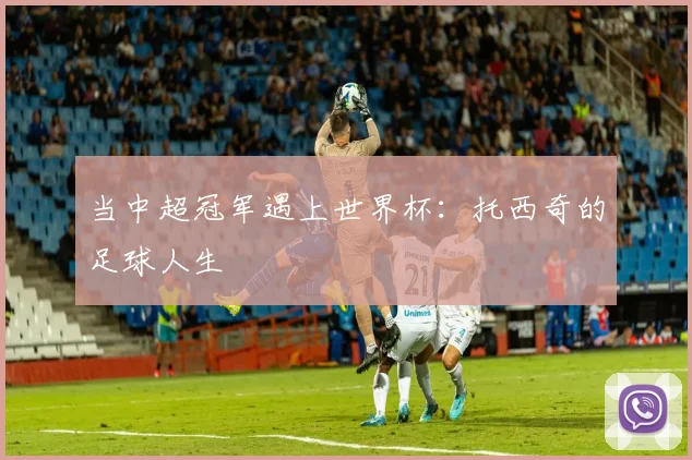 当中超冠军遇上世界杯：托西奇的足球人生
