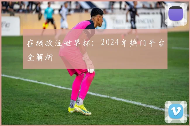 在线投注世界杯：2024年热门平台全解析