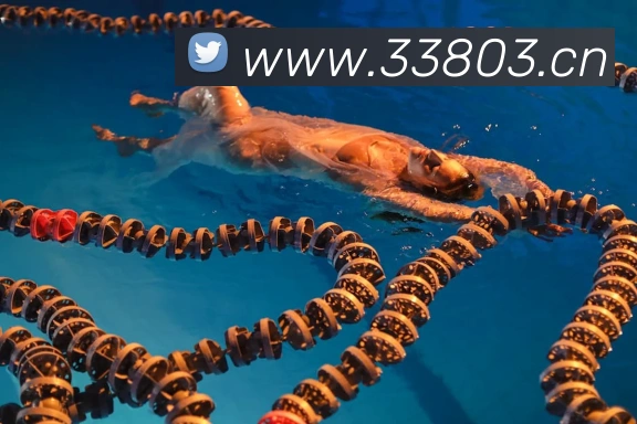 星空体育体育登录入口APP 高清赛事图